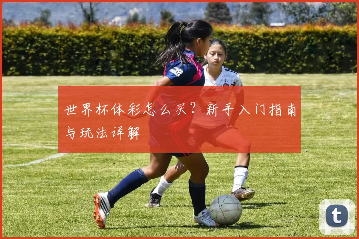 世界杯体彩怎么买?新手入门指南与玩法详解