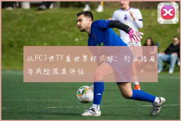 从FC3典TV看世界杯买球:行业格局与风险深度评估