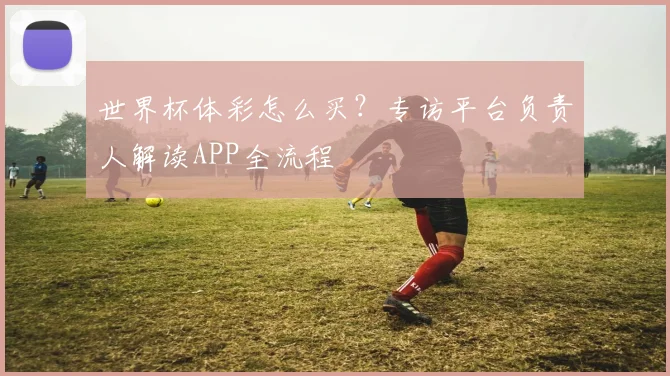 世界杯体彩怎么买？专访平台负责人解读APP全流程