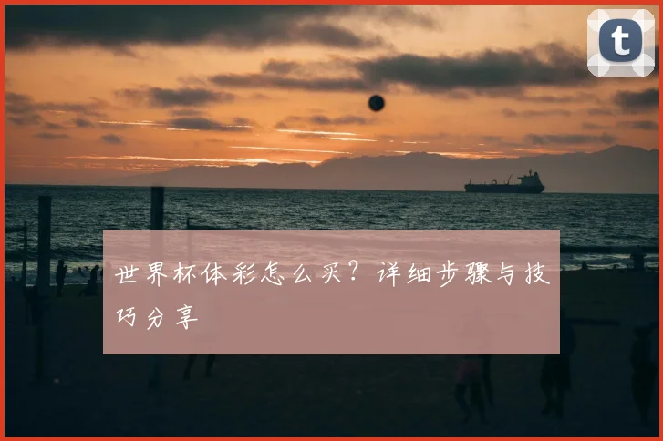 世界杯体彩怎么买？详细步骤与技巧分享